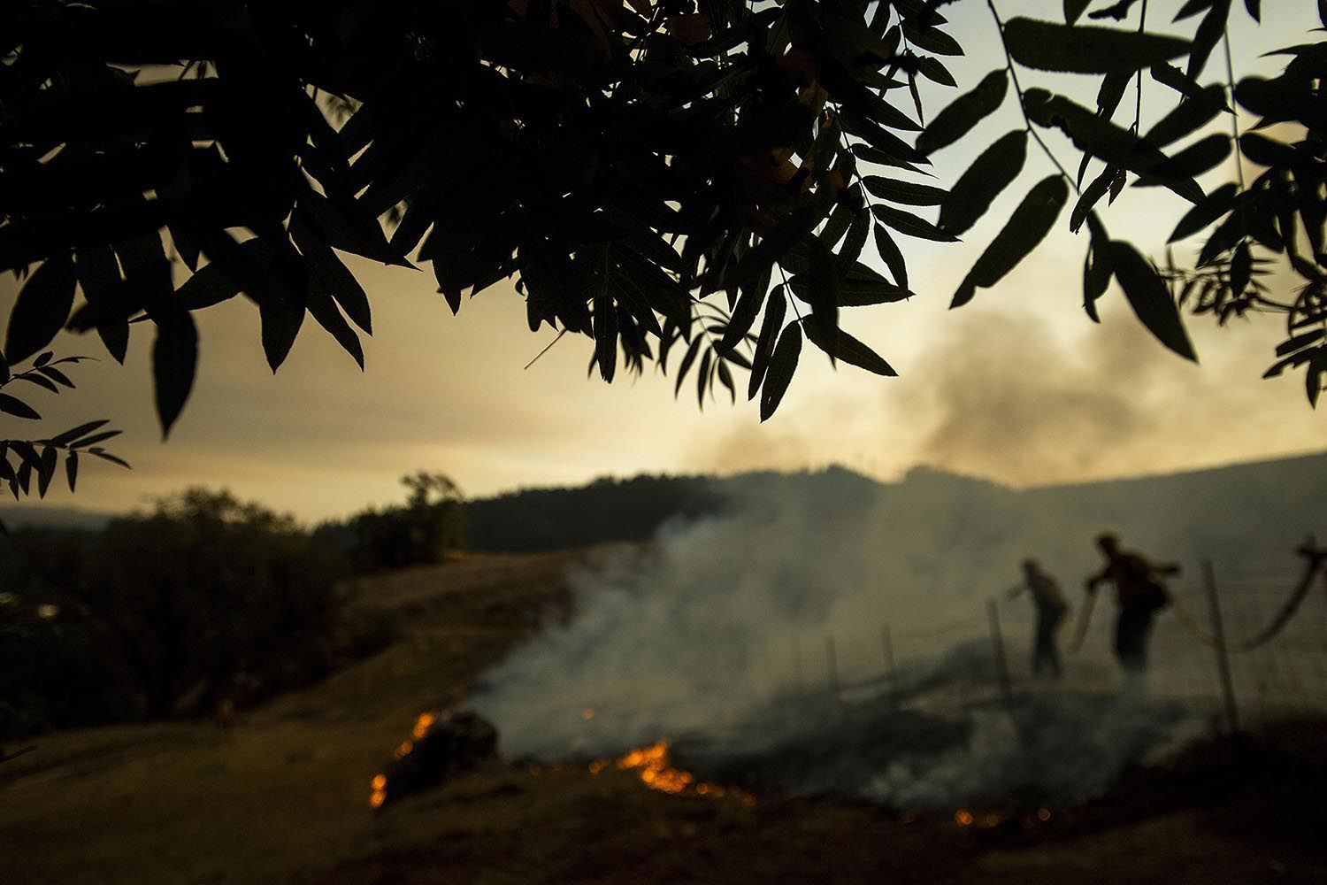 Photos: Kincade Fire